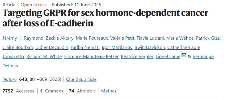 女性专属的癌症治疗新方向？雌激素与E-钙粘蛋白或是关键！近日《自然》杂志上的一项研究揭示了女性癌症（特别是乳腺癌和恶性黑色素瘤）中一个此前未被充分认识的独特特性