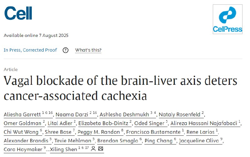 癌症恶病质的“神经开关”被找到：《细胞》揭示阻断脑 - 肝迷走神经可逆转致命消耗癌症相关的恶病质是一种致命的全身性代谢紊乱，导致患者严重消瘦，目前尚无有效疗法