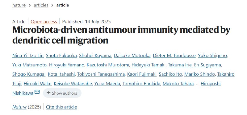 肠道“神队友”被发现！新菌株或成癌症免疫疗法“神助攻”日本科学家团队发现了一种全新的肠道细菌菌株YB328，有望成为攻克癌症免疫疗法耐药性难题的关键