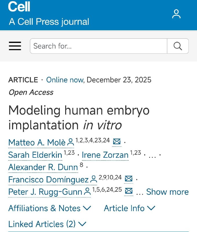科学家构建首个体外人类胚胎植入模型，揭秘着床关键机制怀孕过程中，胚胎成功着床是关键一步，但这一过程在体内难以观察，成功率也较高