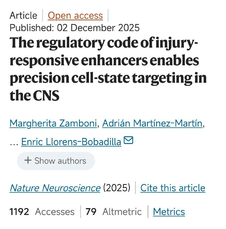 科学家发现脊髓损伤后特定基因调控元件，为精准治疗提供新方向脊髓损伤后，不同细胞类型的基因表达如何精确调控一直是医学界的未解之谜