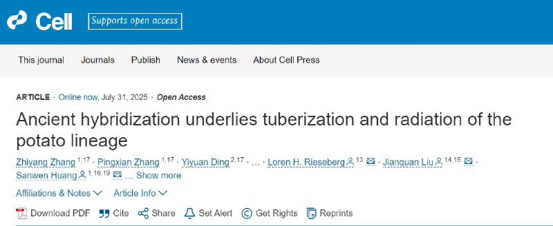 薯条蘸番茄酱？原来土豆和番茄本是一家作为全球第三大主粮，土豆（马铃薯）的起源一直存在争议