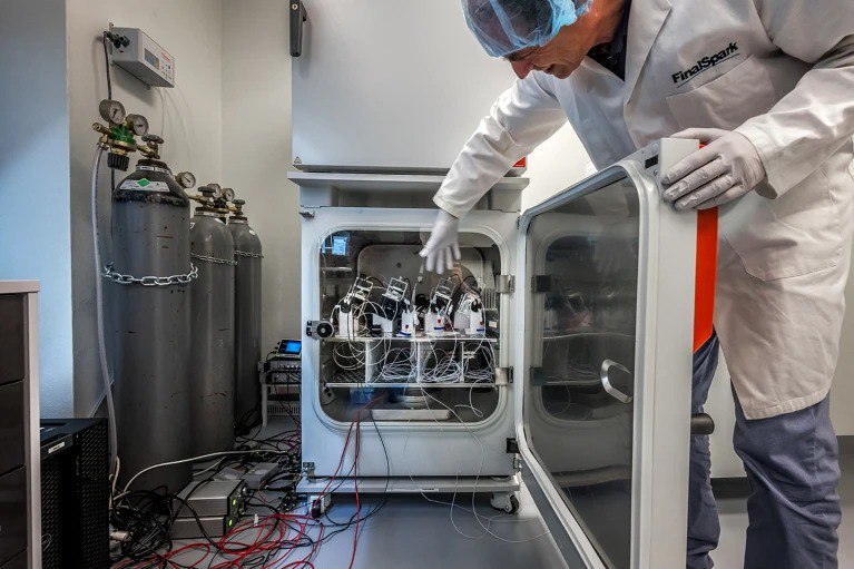 告别硅基：科学家正用活体脑细胞打造超级节能的“生物电脑”人工智能的巨大能耗已成难题