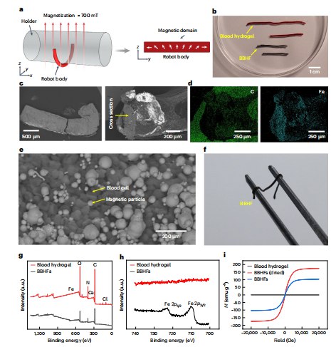“血液特工”诞生：科学家用自体血造出抗癌微型机器人近日，《自然·生物医学工程》上的一项研究展示了一种极具前景的脑肿瘤个性化治疗新策略