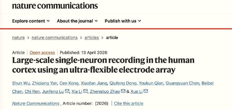 柔性电极让人类大脑“说话”更清晰：科学家首次大规模记录单神经元活动我们的大脑是地球上最复杂的器官，由数十亿个神经元通过电信号进行交流