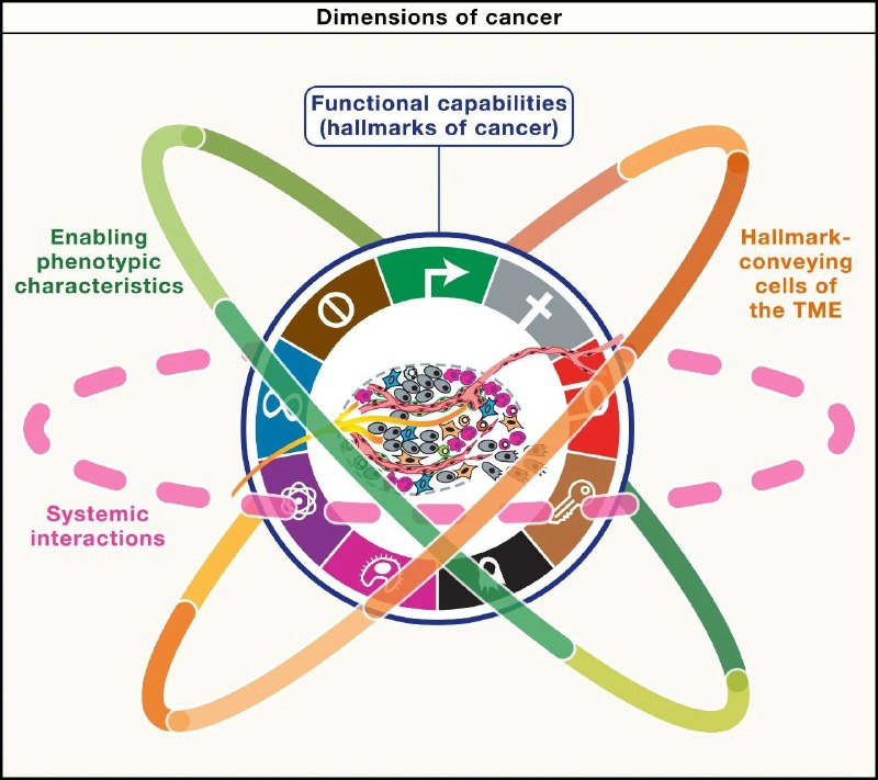 癌症标志物进化：从传统到精准治疗的未来图景癌症作为人类健康的“头号杀手”，其本质是细胞生长、分裂等关键生命过程失控
