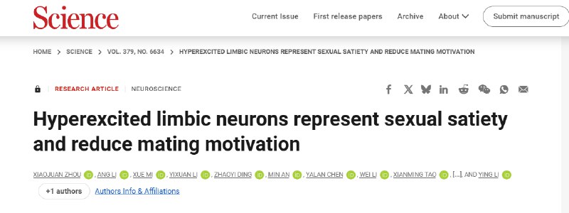 为何会有“贤者时间”？科学家揭秘性行为影响交配动机的神经密码《科学》杂志发表的一项研究首次揭示了性经验如何通过特定脑区神经元长期改变动物的交配动机