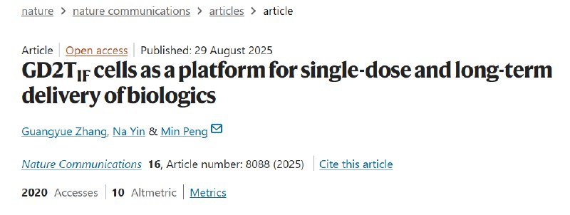 告别终身打针？清华团队打造免疫细胞药物工厂，一次输注或可“治愈”肥胖症肥胖、糖尿病等慢性病常需终身用药，频繁注射不仅麻烦，还可能因身体产生抗药性而失效 