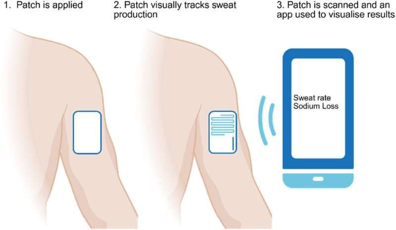 你的汗液竟能透露健康秘密？新技术让无创监测成为可能你是否想过，除了血液和尿液，汗液也能成为健康的"晴雨表"？最新研究表明，汗液中含有丰富的生物信息，结合人工智能和新型传感器技术，可实现非侵入式的健康监测
