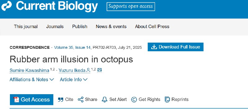 章鱼也有“替身幻觉”：无脊椎动物首次展现肢体本体感一项最新研究发现，章鱼也能感受到与人类相似的“替身幻觉” ，这意味着它们能把假的肢体当作自己的身体一部分