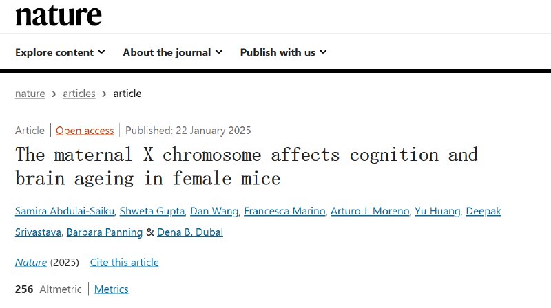母系X染色体加速雌性小鼠的认知衰退和大脑老化发表在《自然》期刊的一项研究发现，母系X染色体（Xm）在雌性小鼠体内的偏向活跃会损害其认知功能，并加速大脑老化