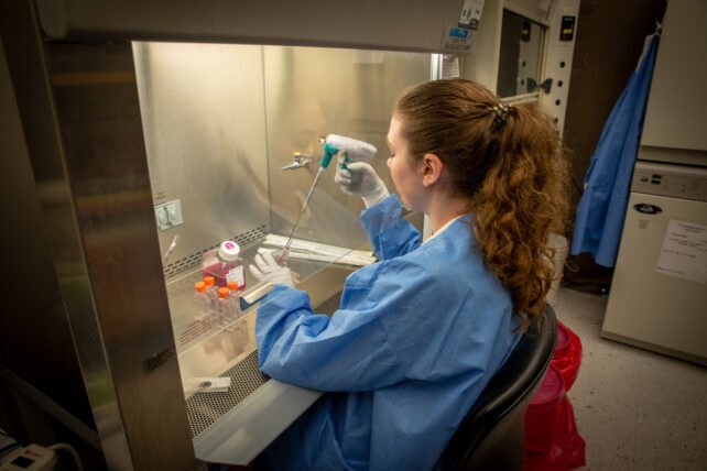 喵星人再立功！佛州宠物猫助科学家二度发现新病毒论“卷”科研，可能没人比得过佛罗里达州的猫咪“佩珀”了