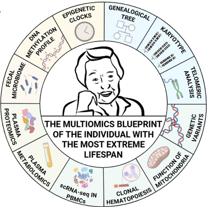 揭秘全球最长寿女性：117岁的身体里藏着哪些“年轻”的秘密？近日《Cell Reports Medicine》上的一项研究，对全球最长寿的117岁女性进行了全面的多组学分析，研究团队通过检测她的基因组、代谢物、微生物组和表观遗传等多维度信息，描绘了一幅详尽的“长寿蓝图”