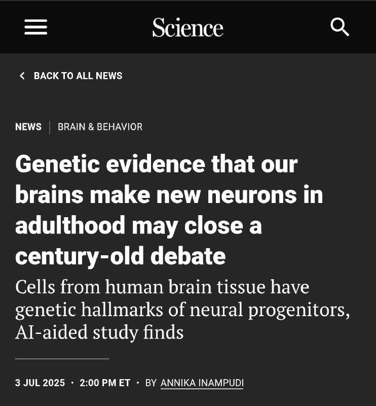 AI助力破解百年争议：成年人大脑确实能产生新神经元瑞典卡罗林斯卡研究所的科学家利用机器学习和单细胞RNA测序技术，在成年人大脑海马体中发现了具有神经祖细胞遗传特征的细胞，为成年神经发生提供了决定性证据