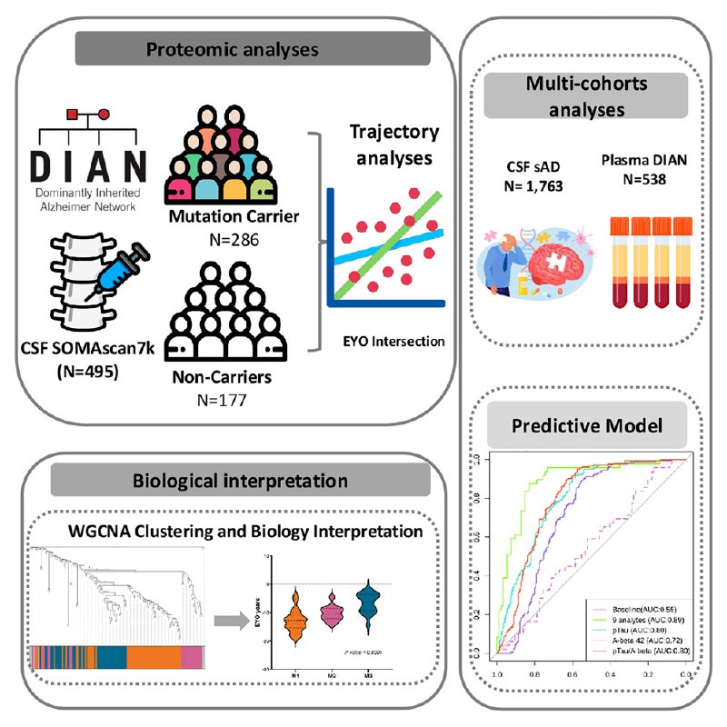 这项针对常染色体显性阿尔茨海默病（ADAD）的高通量蛋白质组学研究旨在识别脑脊液（CSF）中的早期生物标志物，以用于疾病监测和治疗策略