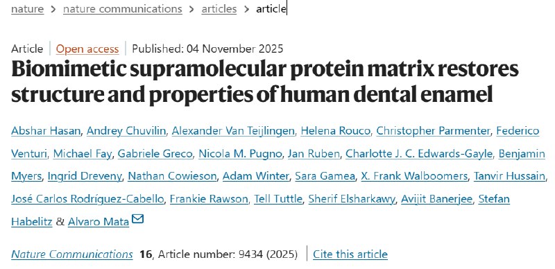科学家研发“蛋白基质”拯救蛀牙！牙釉质（珐琅质）是人体最坚硬的组织，但一旦受损（如被酸腐蚀或磨损）便无法自我再生 
