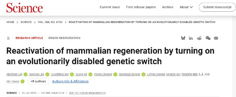 解锁再生之谜：科学家激活“沉睡”基因，让小鼠耳朵奇迹重生为什么有些哺乳动物能再生复杂的身体组织，而另一些则不行？近期《科学》（Science）杂志上的一项研究揭开了这个谜底