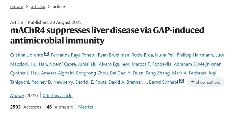 Nature 重磅：科学家破解酒精伤肝的“肠道密码”，新靶点有望终结肝病困局酒精性肝病为何难以治疗？发表于《自然》的最新研究将目光从肝脏转向肠道，找到了关键线索