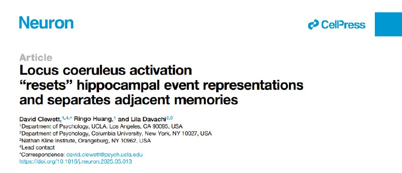 记忆如何“断舍离”？新研究揭示大脑蓝斑核是关键我们的大脑如何将连续的经历剪辑成独立的记忆片段？《神经元》期刊新研究发现，大脑中负责调控警觉与注意力的“蓝斑核”（LC），是其中的关键“导演” 