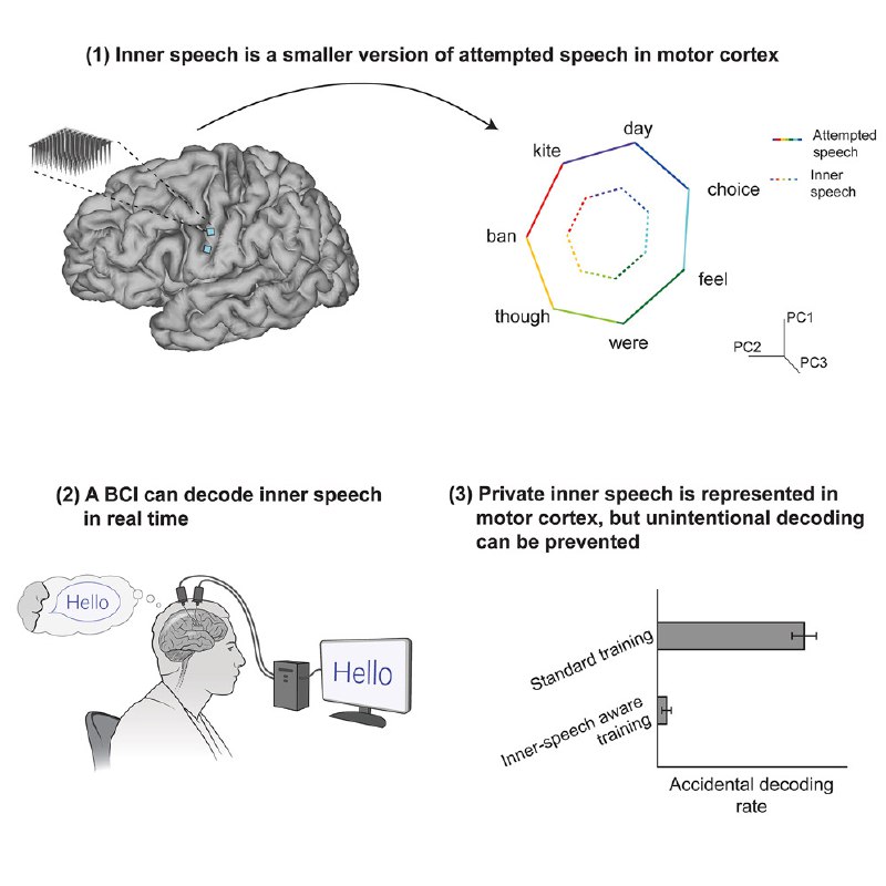 “读心术”再进一步：斯坦福新研究解码“内心独白”，并设下“思想防火墙”近日，斯坦福大学团队在顶级期刊《细胞》上发表了一项里程碑式的研究，成功实现了对“内心独白”（inner speech）的实时解码，并为这项前沿技术建立了关键的“隐私防火墙”