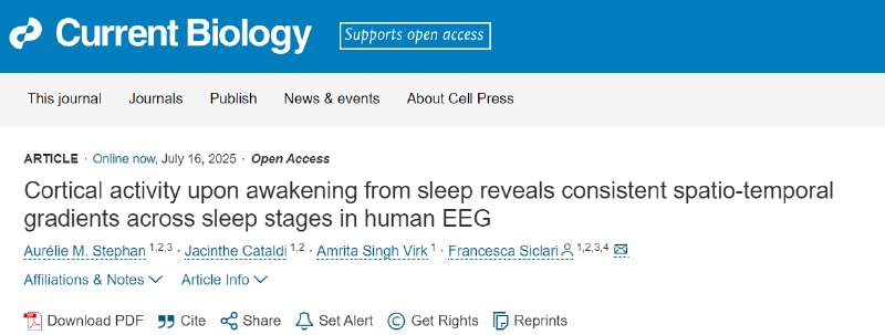 揭示大脑觉醒的动态图谱：人脑从睡到醒的皮层活动新发现一项突破性研究揭示了人类大脑从睡眠中觉醒时，皮层活动所展现出的独特时空动态与频率梯度，为我们理解意识状态转换提供了关键神经生理学依据