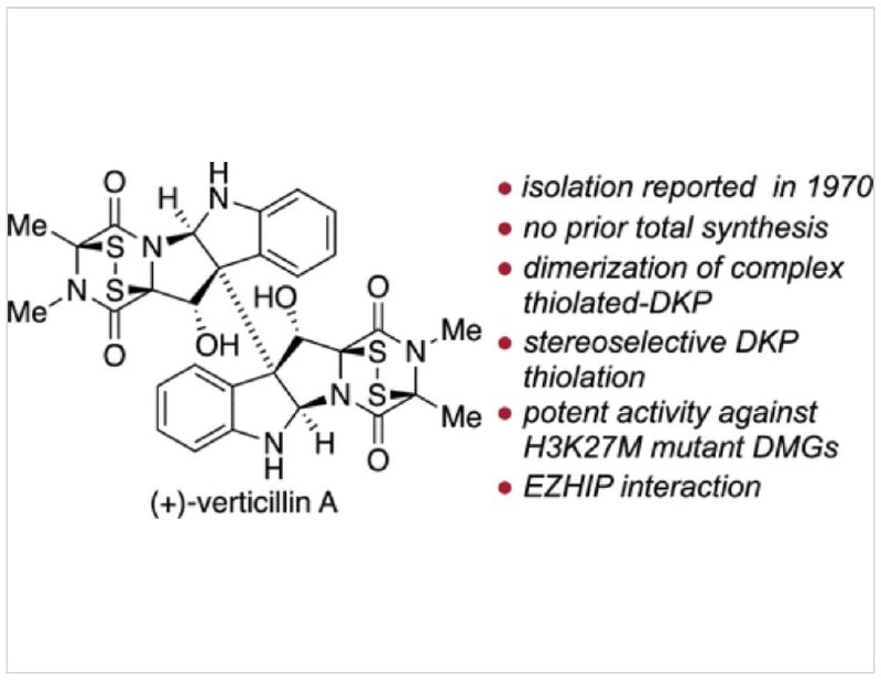 MIT首次合成抗癌新药前体：从蘑菇中提取的神秘化合物科学家们成功合成了“verticillin A”，一种从蘑菇中提取的复杂化合物