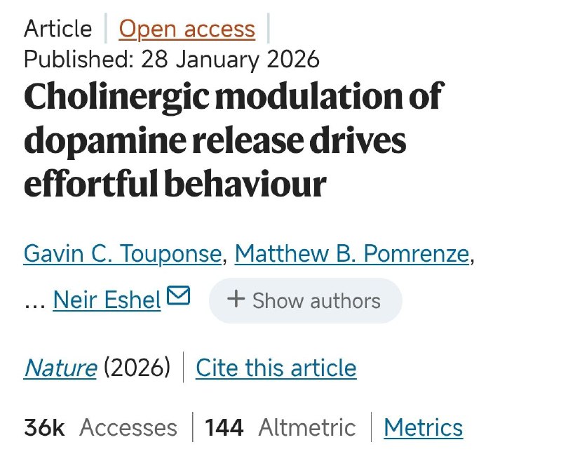 越努力，越快乐？Nature揭示背后的神经调节机制我们常常觉得“努力是成本”，但完成困难任务后获得的奖励往往更让人满足——这种“努力-奖励”的关联背后，隐藏着怎样的神经机制？一项发表在《自然》的研究揭示了关键线索：努力行为会放大大脑对奖励的反应，而这一过程的关键“开关”是乙酰胆碱
