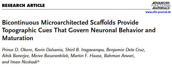 非“类器官”也能长脑子？物理微迷宫让神经细胞30秒安家想要在体外模拟大脑，目前最主要的方案是脑类器官