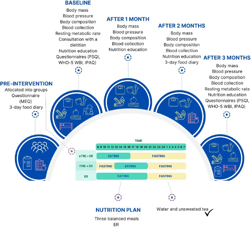 早进食限时饮食（eTRE）在减重和改善代谢健康方面表现更优一项最新研究表明，在有能量限制（即控制总热量摄入）的前提下，与晚间进食（如中午12点至晚上8点）或仅仅是控制总热量但无时间限制（如早上8点至晚上8点）相比，早进食限时饮食（即在每天的早些时候，如早上8点至下午4点完成所有进食）在改善身体健康方面显示出更多益处 