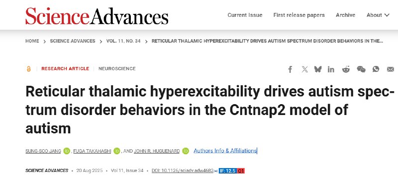 大脑“节拍器”失调导致自闭症？新研究在动物模型中成功“校准”自闭症谱系障碍（ASD）常伴有社交障碍、重复行为及多动等症状 