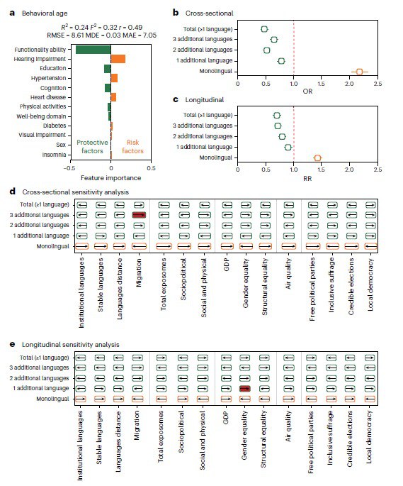 掌握外语的隐藏好处：或许可以延缓衰老！？除了运动和教育等熟知的因素，还有什么办法能延缓衰老？过去的研究结论不一 