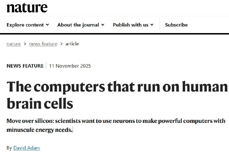 告别硅基：科学家正用活体脑细胞打造超级节能的“生物电脑”人工智能的巨大能耗已成难题