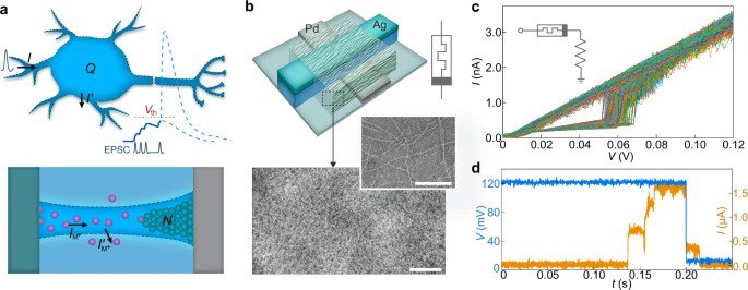 耗能与电压完美匹配生物体的人造神经元诞生！在科幻设想中，人机接口让我们变身赛博格，但在现实里，普通电子元件的工作电压和能耗远高于生物神经元