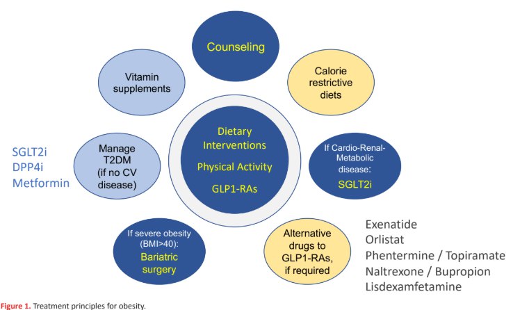 重新定义全球肥胖治疗：ICARDIO 2025指南发布，整合个体化治疗与“经济调整”策略国际CARDIO联盟近日发布了《2025年全球肥胖管理实施指南》，旨在应对全球医疗资源不均和实践标准不一的挑战