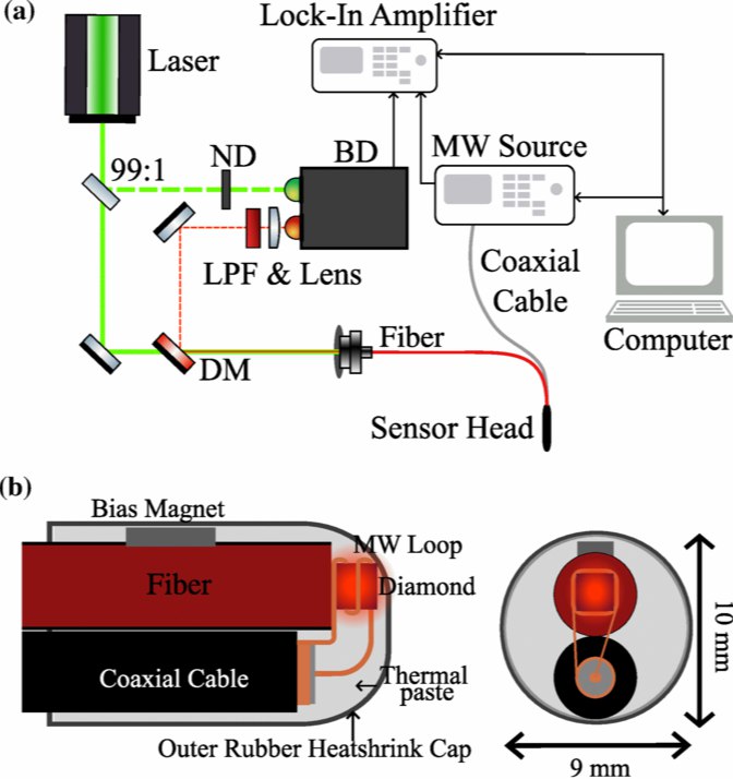 “钻石”变身手术“侦探”，毫米级探头精准锁定癌转移淋巴结在癌症手术中，精确定位已转移的“前哨淋巴结”至关重要