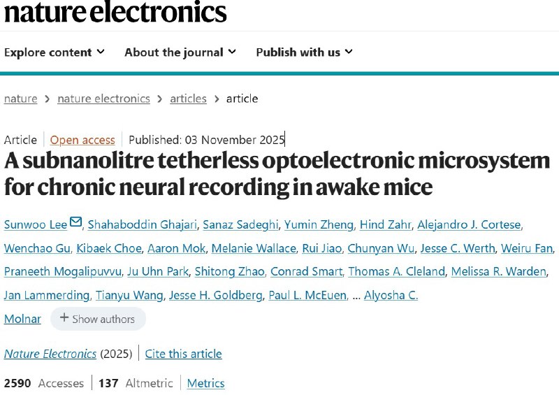 微小“神经探针”，在小鼠脑内工作长达一年想要真正理解大脑的奥秘，比如复杂行为和疾病的成因，科学家需要长期“窃听”神经元的活动 