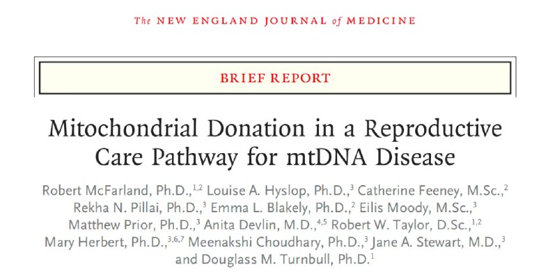 “三亲婴儿”里程碑：8名英国宝宝健康诞生，改写线粒体遗传宿命英国纽卡斯尔生育中心近期在《新英格兰医学杂志》上发布了两篇里程碑式论文，详细披露了全球首批通过线粒体捐赠技术诞生的“三亲婴儿”的健康状况